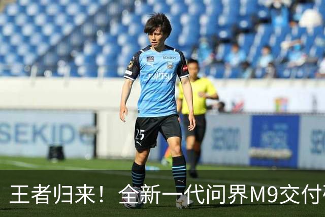 王者归来！全新一代问界M9交付破30000台：成交均价60万