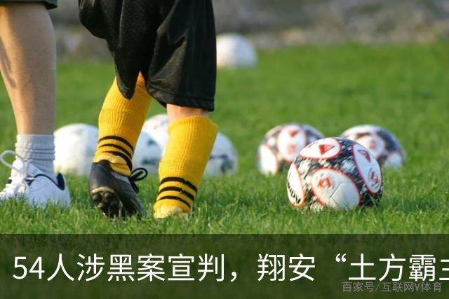 54人涉黑案宣判，翔安“土方霸主”获刑25年